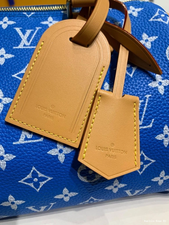 Cheap Vuitton SPEEDY Louis 25 0812